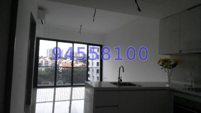 D'Leedon (D10), Condominium #38557202